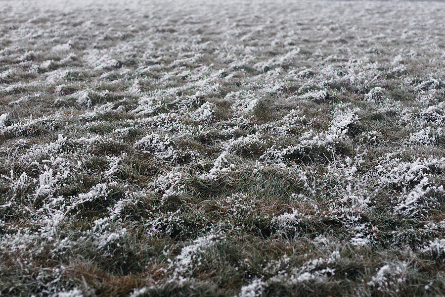 jour de givre